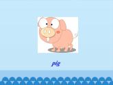 科普版（三年级起点）小学英语三年级下册 Lesson 3   Is that a pig   课件1
