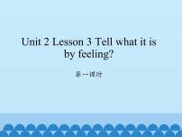 英语六年级下册Lesson 3 Tell what it is by feeling多媒体教学课件ppt