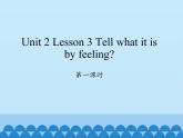 川教版（三年级起点）小学六年级英语下册 Unit2 Lesson 3 Tell what it is by feeling   课件