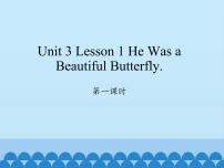 英语川教版Lesson 1 He was a beautiful butterfly课文配套ppt课件