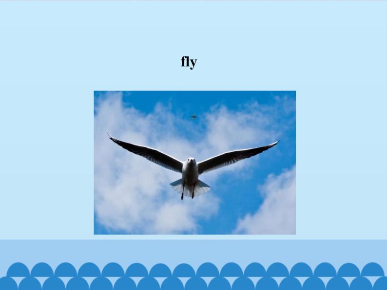 科普版（三年级起点）小学英语三年级下册 Lesson 9   I have a kite   课件04