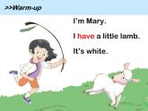 牛津译林版小学二年级英语上册 Unit2  I have a rabbit   课件