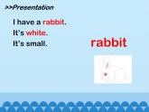 牛津译林版小学二年级英语上册 Unit2  I have a rabbit   课件