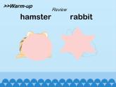 牛津译林版小学二年级英语上册 Unit2  I have a rabbit   课件1