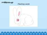 牛津译林版小学二年级英语上册 Unit2  I have a rabbit   课件2