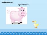 牛津译林版小学二年级英语上册 Unit2  I have a rabbit   课件2