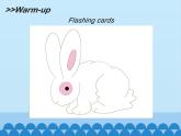 牛津譯林版小學(xué)二年級英語上冊 Unit3 It has a short tail   課件