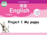 牛津译林版小学三年级英语下册 Project 1 My puppy  课件
