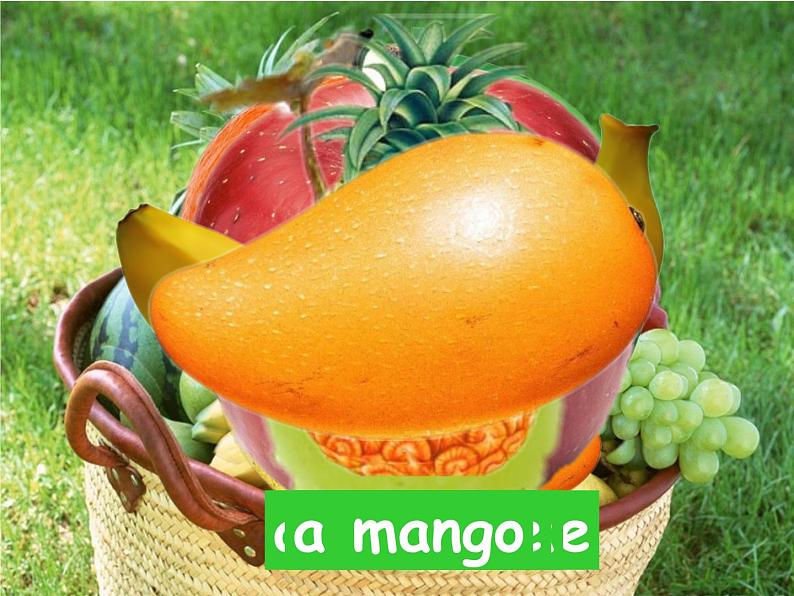 牛津译林版小学四年级英语上册 Unit 2 Let's make a fruit salad  课件202