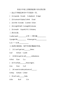 教科版（EEC）小学英语 六年级上册 Unit 6 At the Safari Park（单元测试）