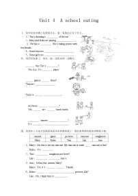 深港朗文版四年级上册Unit 4 A school outing精品同步训练题