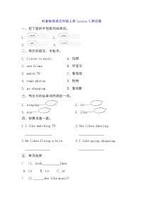 小学科普版Lesson 5 What does he like?精品同步达标检测题