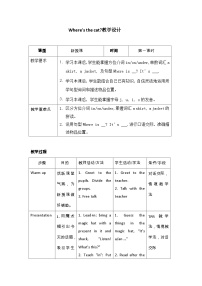 湘少版四年级上册Unit  11  Where's the cat?优秀教案