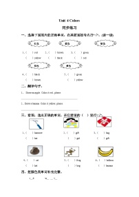 小学英语北师大版 (一年级起点)一年级上册Unit 4 colors精品一课一练