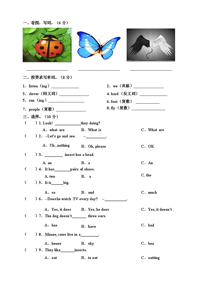 川教版 小学英语 五年级上册Unit2Lesson2What 'saninsect同步练习第2页