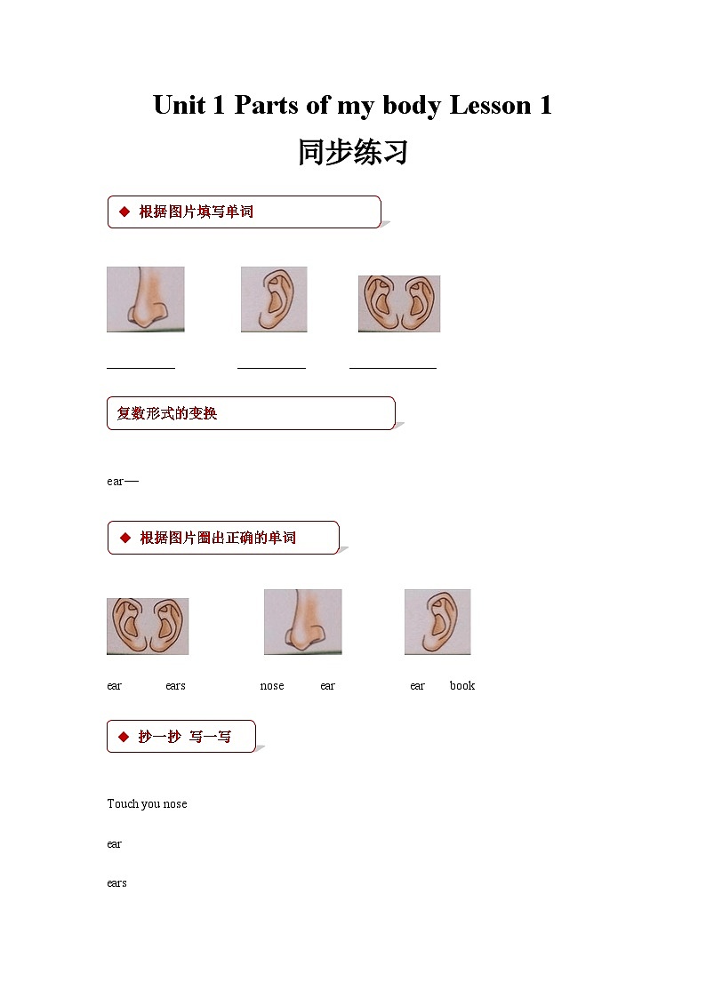 清华大学版 小学英语 一年级上册 unit 1 parts of my body lesson 1同步练习（含答案）第1页