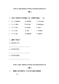 小学清华大学版Unit 2 The short vowel sounds精品练习题