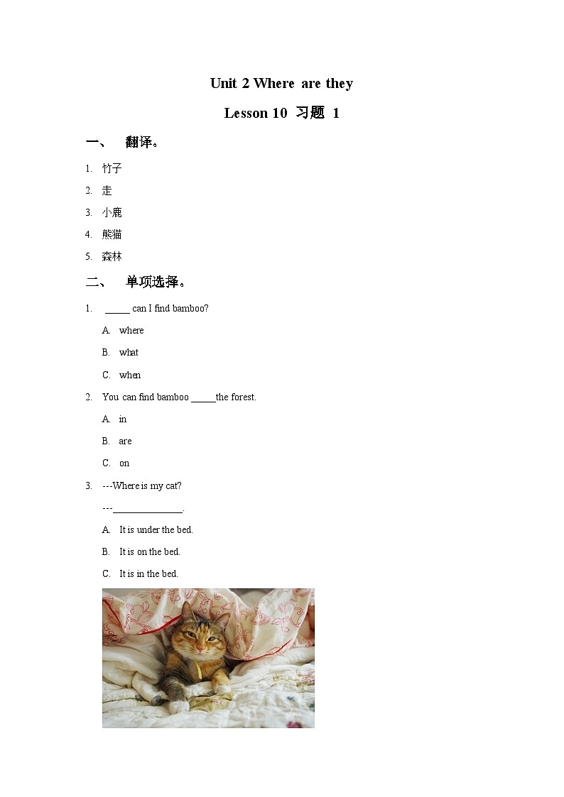 Unit 2 Where are they Lesson 10  同步测试卷（word，无答案）01