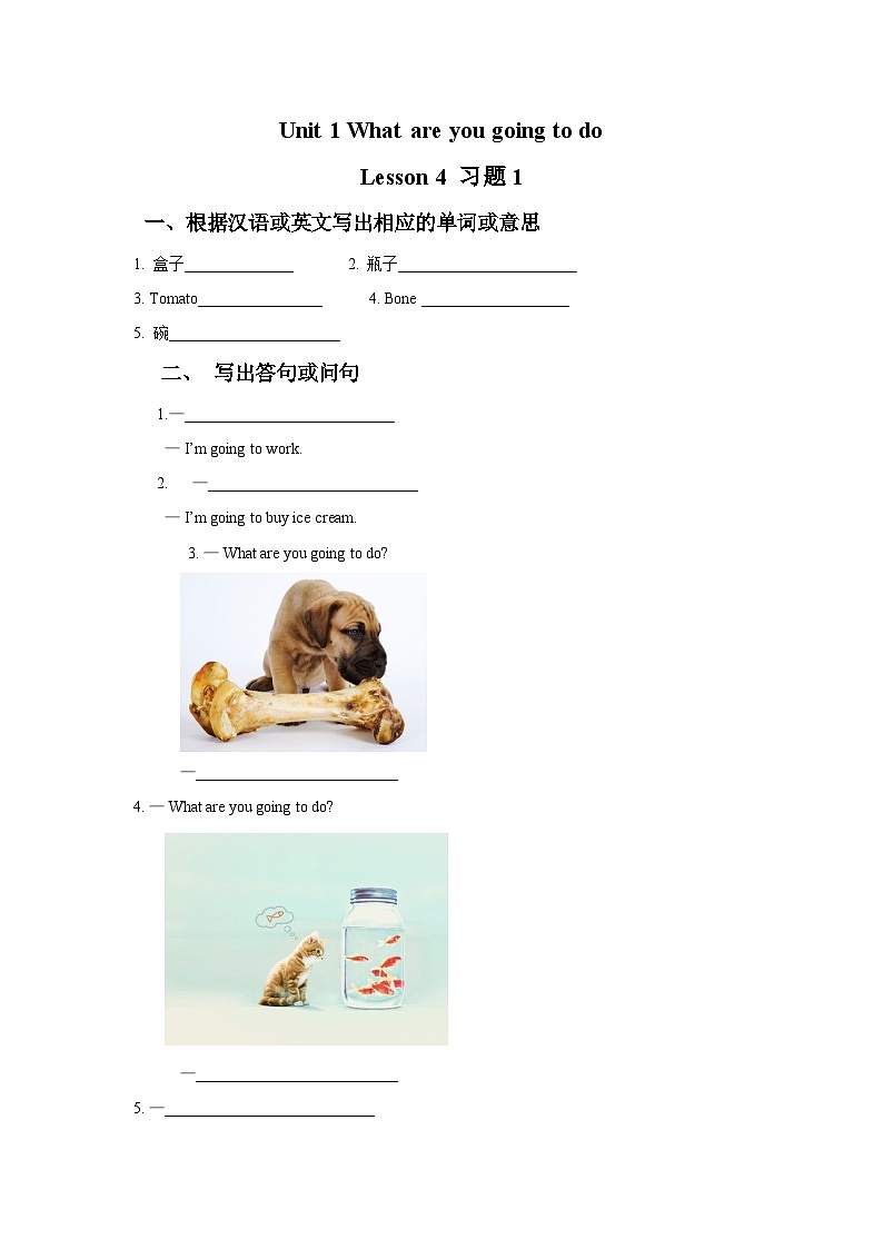 Unit1WhatareyougoingtodoLesson4 同步测试卷（word，无答案）01