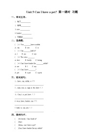 小学英语湘少版五年级上册Unit 5 Can I have a pet?优秀练习题