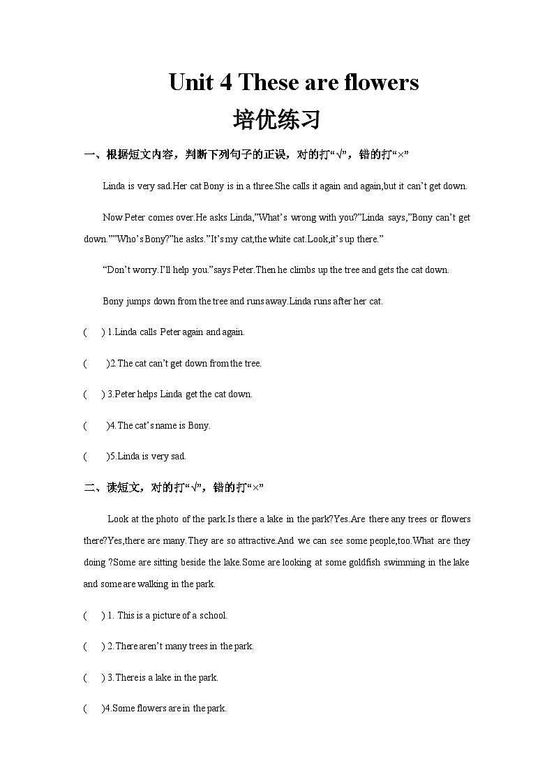 湘少版 小学英语 四年级上册 Unit 4 These are flowers 同步练习（3份 含答案）01