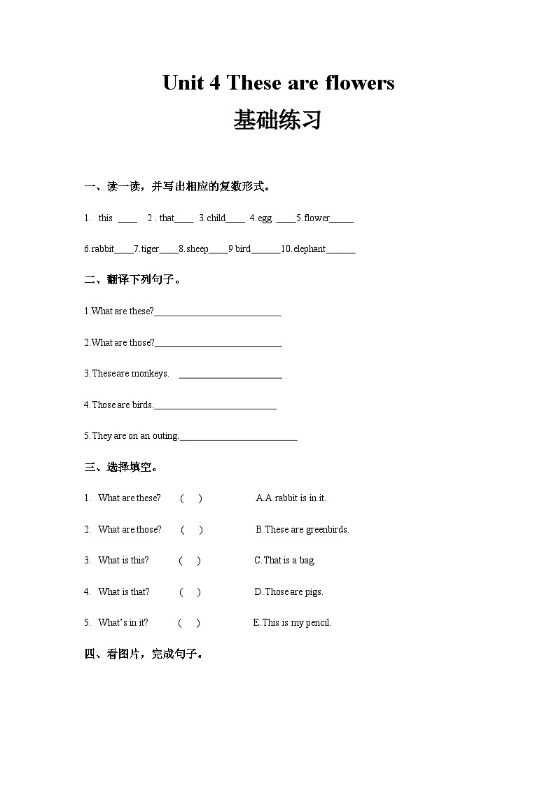 湘少版 小学英语 四年级上册 Unit 4 These are flowers 同步练习（3份 含答案）01