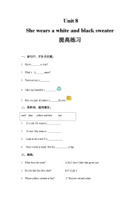 湘少版 小学英语 四年级上册 Unit 8 She wears a white and black sweater 同步练习（3份 含答案）