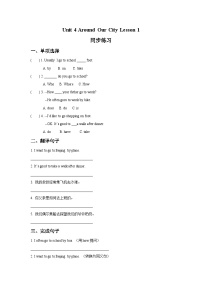 重庆大学版六年级上册Lesson 1优秀同步训练题