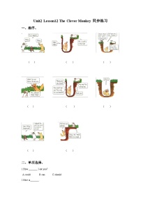 小学英语冀教版 (一年级起点)四年级上册Lesson 1 A New School Year精品综合训练题