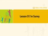 【川教版】三上英语  Lesson D I'm Sunny （课件+教案+练习+素材）