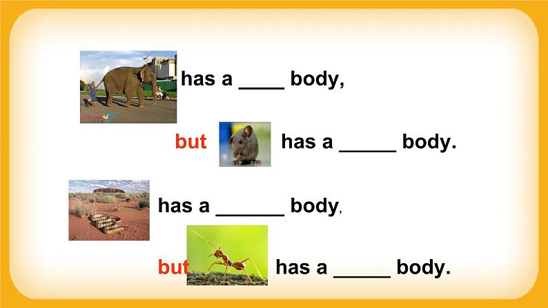 Module 2 Unit 3 About me  Period 2 课件07