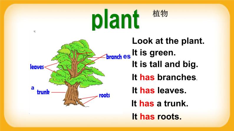 M4 U3 Plants Period 1 课件02