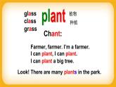 M4 U3 Plants Period 1 课件