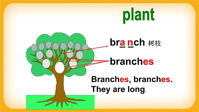 M4 U3 Plants Period 1 课件04