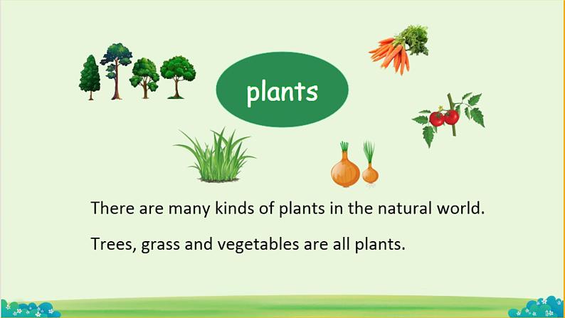 Module 4 The natural world Unit 3 Plants 课件02