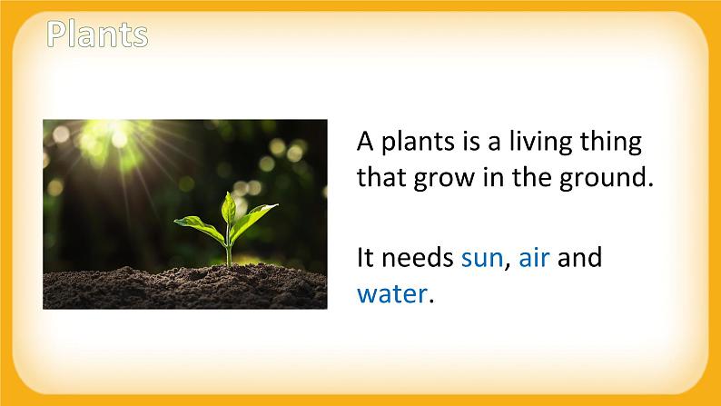 Module 4 The natural world Unit 3 Plants 课件06