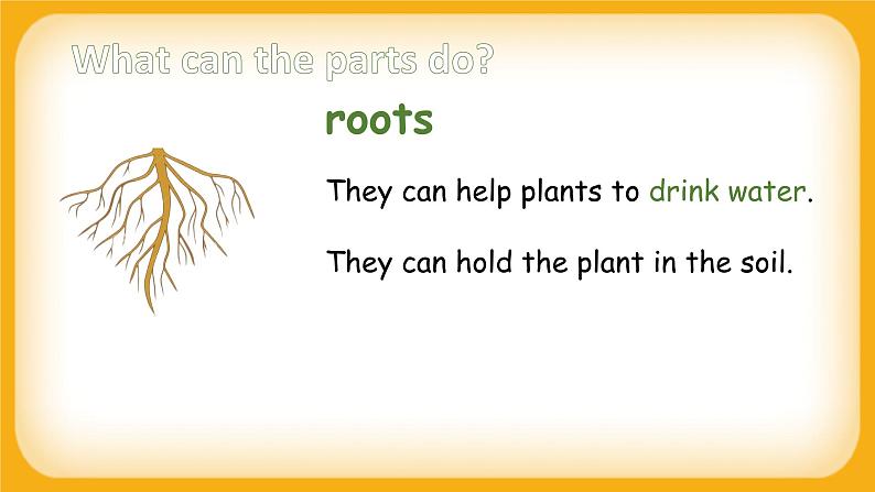 Module 4 The natural world Unit 3 Plants 课件08