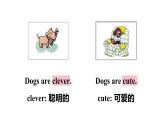 Module 7 Unit 1 He can’t see（課件）外研版（三起）英語五年級上冊