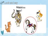 Module 7 Unit 1 Unit 1  There is a horse in this photo（课件）外研版（三起）英语四年级上册