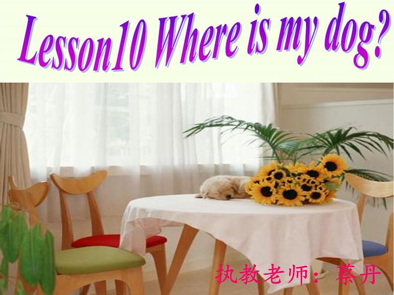 科普版（三年级起点）小学英语四年级上册 Lesson 10   Where is my dog   课件102