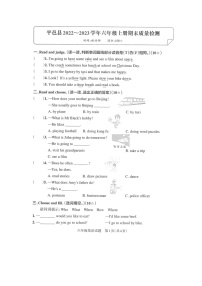 山东省临沂市平邑县2022-2023学年六年级上学期期末英语试题