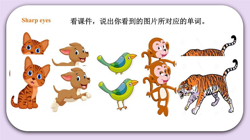 人教版新起点一年级上册英语课件Unit 3 Animals Story time 课件04