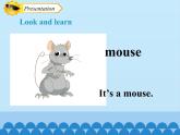 沪教版（三年级起点）小学三年级英语上册 Moduie 4 Unit 11  Small animals    课件