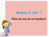 Module 6 《Unit 1 What do you do on Sundays?》课件PPT