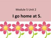 Module 5 《Unit 2 I go home at 5》课件PPT