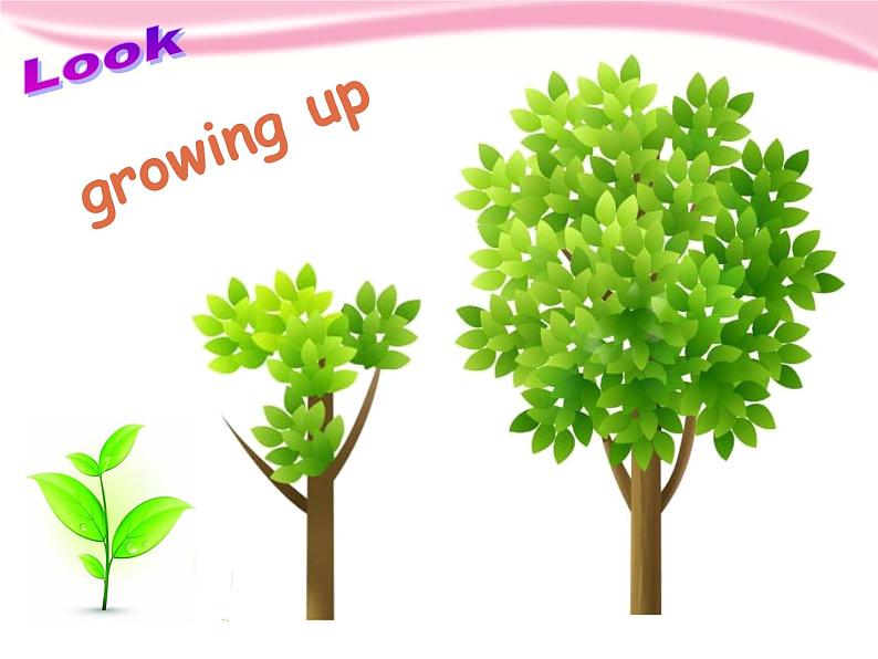 Module 1 Unit 1 Growing up 课件第2页