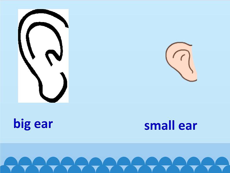 牛津上海版（试用本）小学一年级英语上册  Module 1 Unit 3 My face  课件03