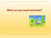 牛津上海版（試用本）小學(xué)四年級(jí)英語(yǔ)下冊(cè) Unit 1 Unit 1 What can you smell and taste  課件