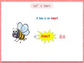 川教版英语五上 Unit 2 Lesson 2 《What's an Insect》 第一课时 课件+教案+习题