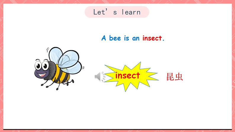 川教版英语五上 Unit 2 Lesson 2 《What's an Insect》 第一课时 课件+教案+习题03